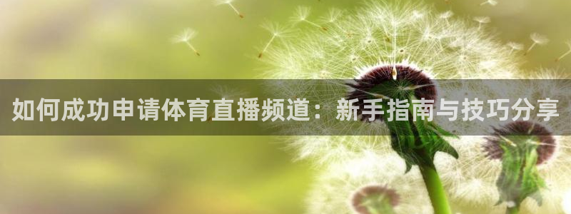 球友体育官网：如何成功申请体育直播频道：新手指南与技巧分享